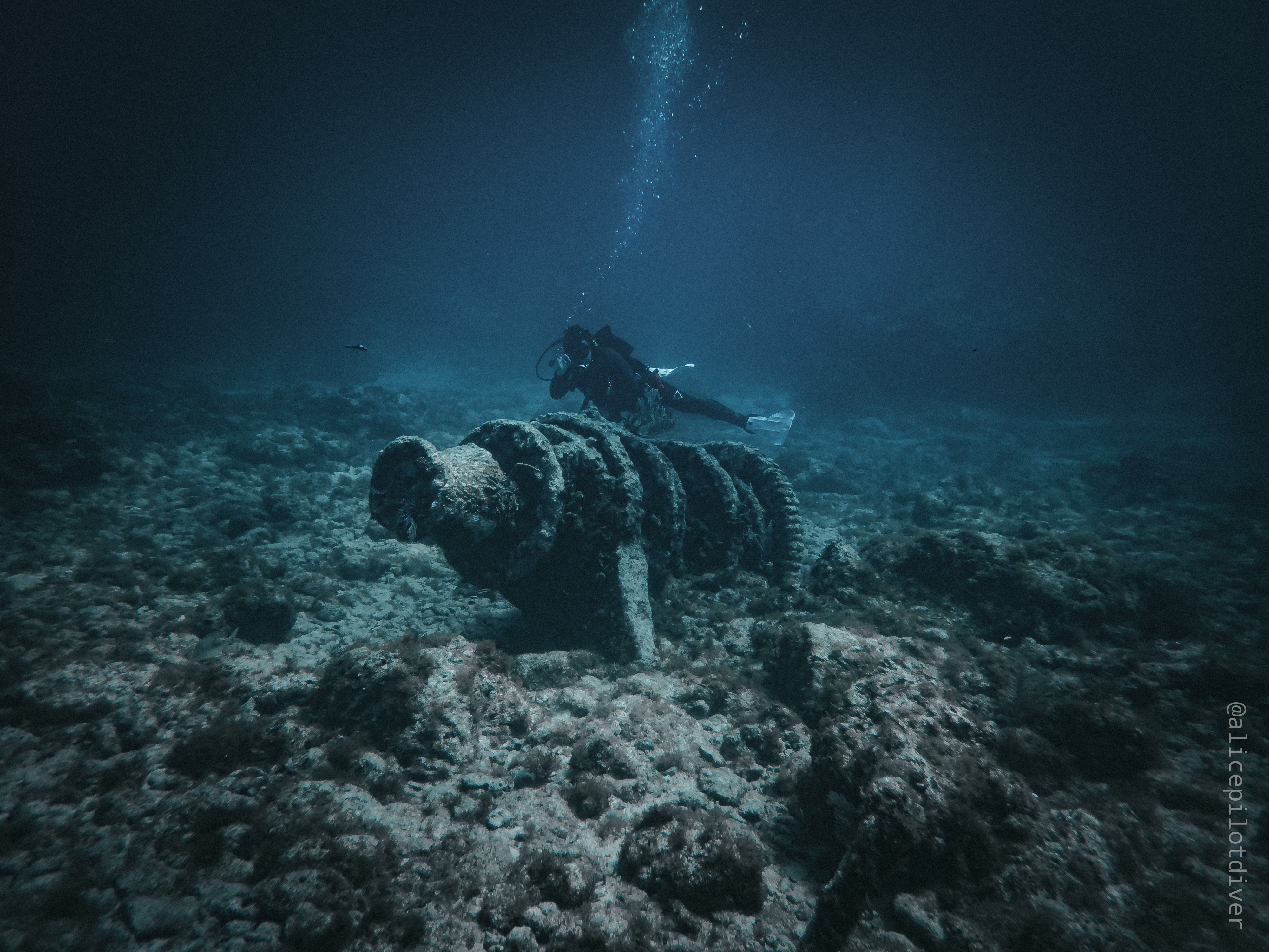 Dr. Boulanger diving at Key Largo